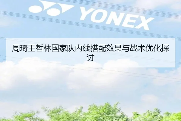 周琦王哲林国家队内线搭配效果与战术优化探讨